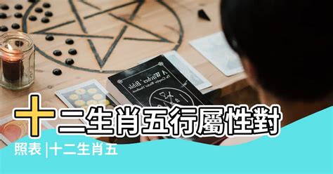 屬龍五行|十二生肖五行屬性對照表